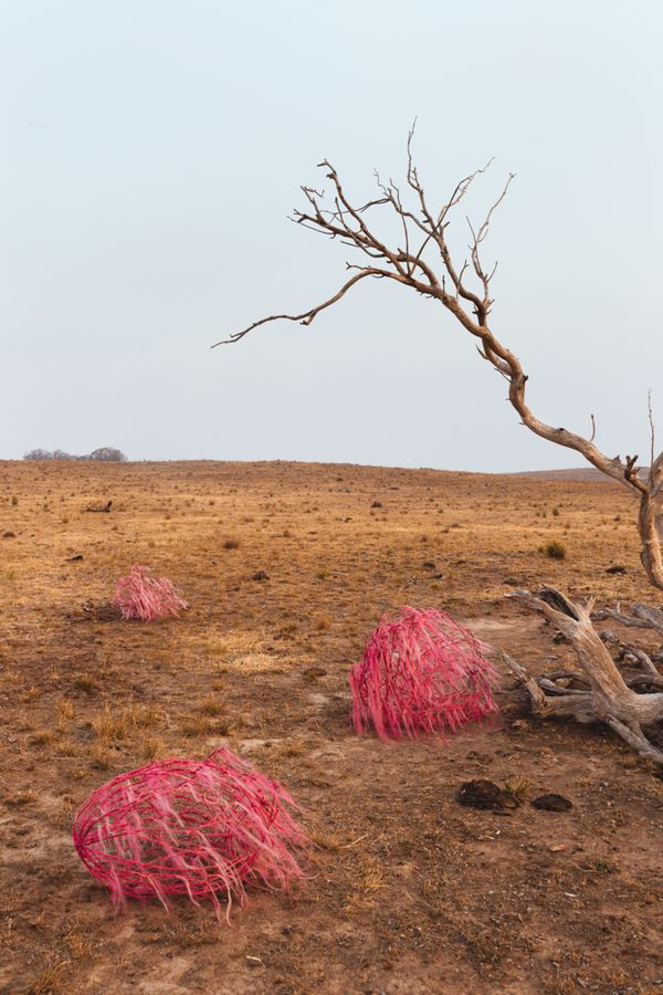 © Sophie Dumaresq - Image from the The Hairy Panic photography project