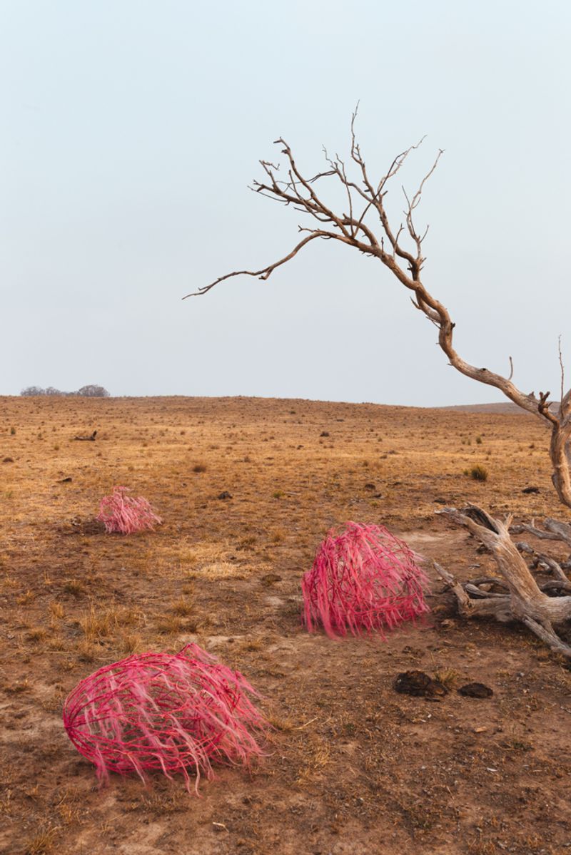 © Sophie Dumaresq - Image from the The Hairy Panic photography project