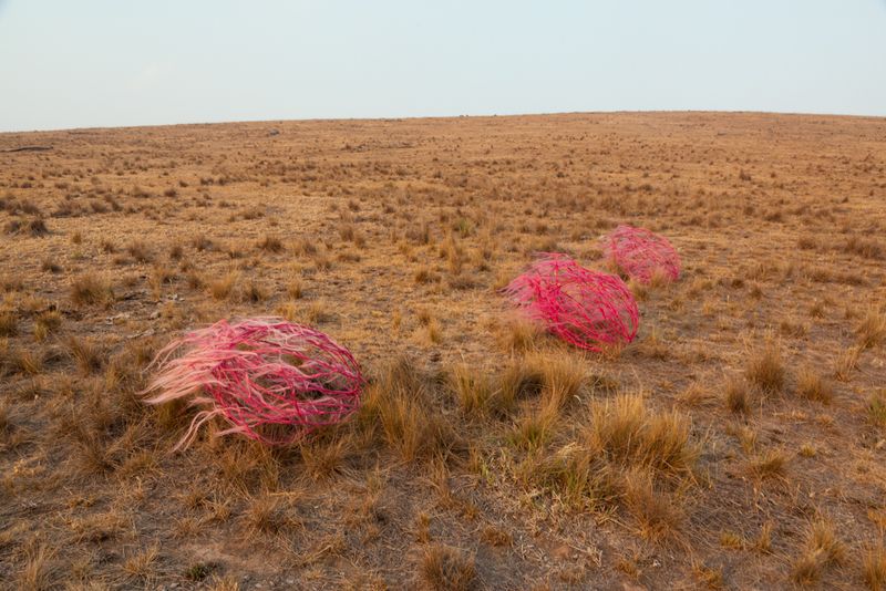 © Sophie Dumaresq - Image from the The Hairy Panic photography project