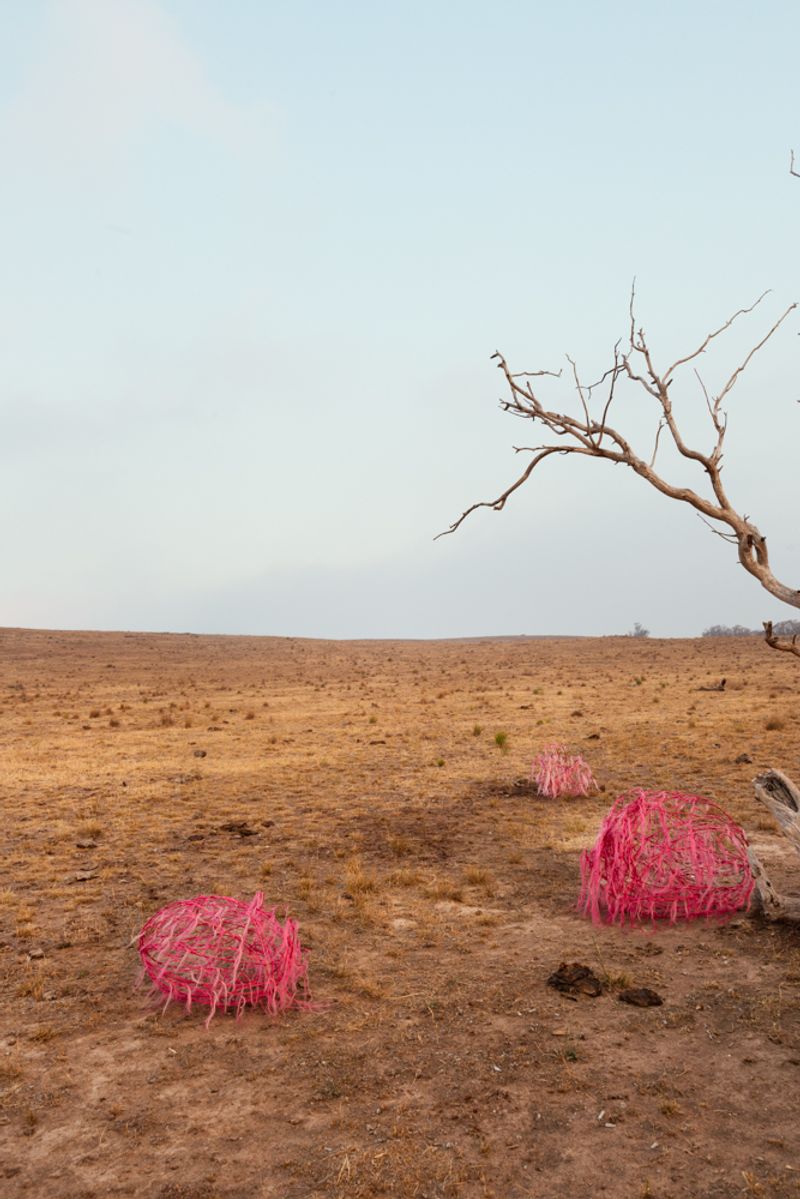 © Sophie Dumaresq - Image from the The Hairy Panic photography project