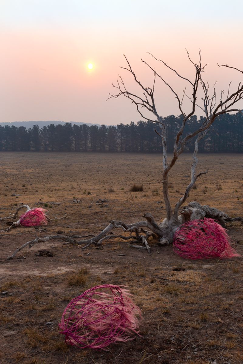 © Sophie Dumaresq - Image from the The Hairy Panic photography project