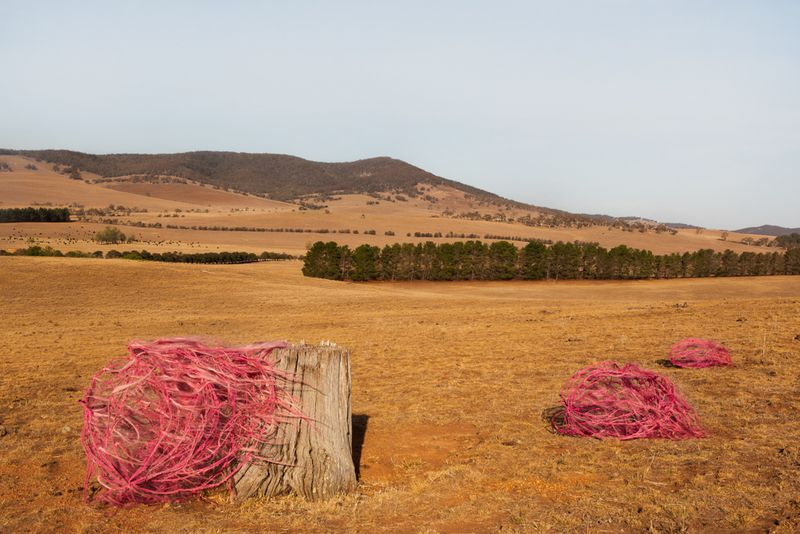 © Sophie Dumaresq - Image from the The Hairy Panic photography project