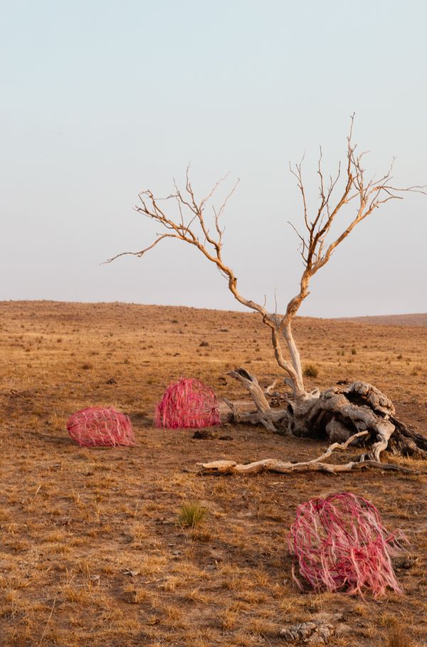 © Sophie Dumaresq - Image from the The Hairy Panic photography project