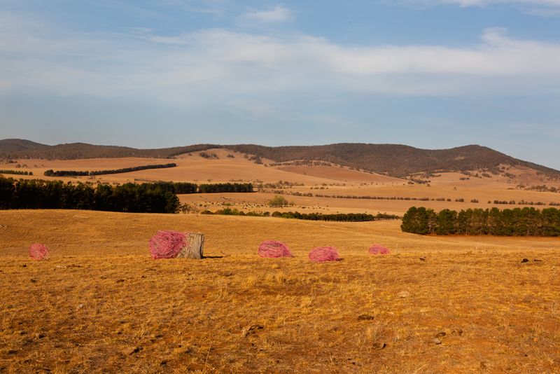 © Sophie Dumaresq - Image from the The Hairy Panic photography project