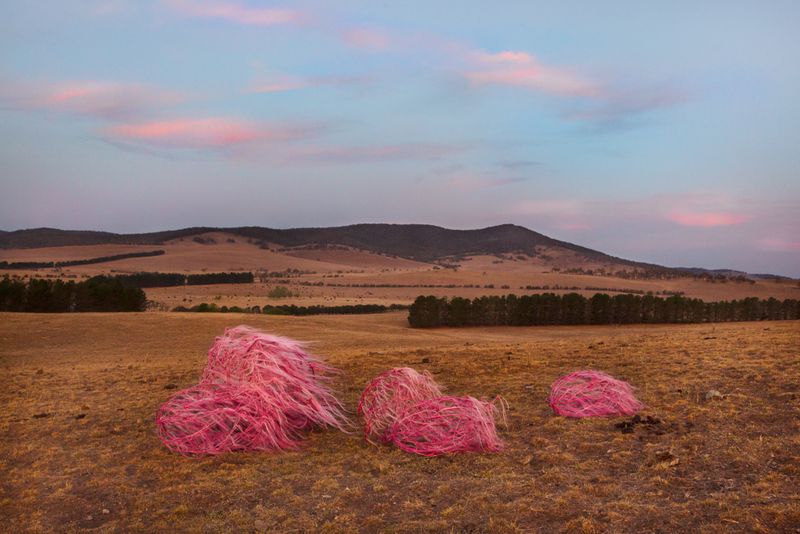 © Sophie Dumaresq - Image from the The Hairy Panic photography project