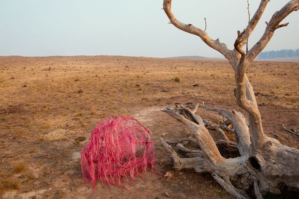 © Sophie Dumaresq - Image from the The Hairy Panic photography project