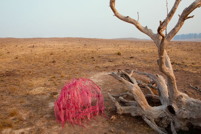 © Sophie Dumaresq - Image from the The Hairy Panic photography project