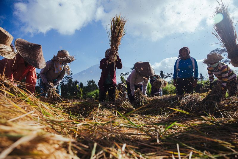© Nyimas Laula - Image from the Honoring The Goddesses: Sang Hyang Dedari photography project