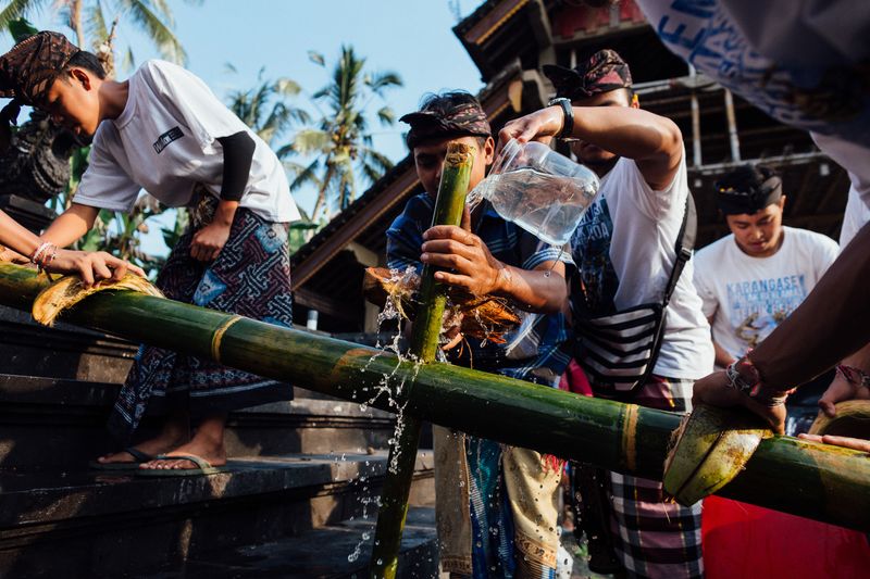 © Nyimas Laula - Male youth of Geriana Kauh village prepares poles for Sang Hyang Dedari sacred ritual.