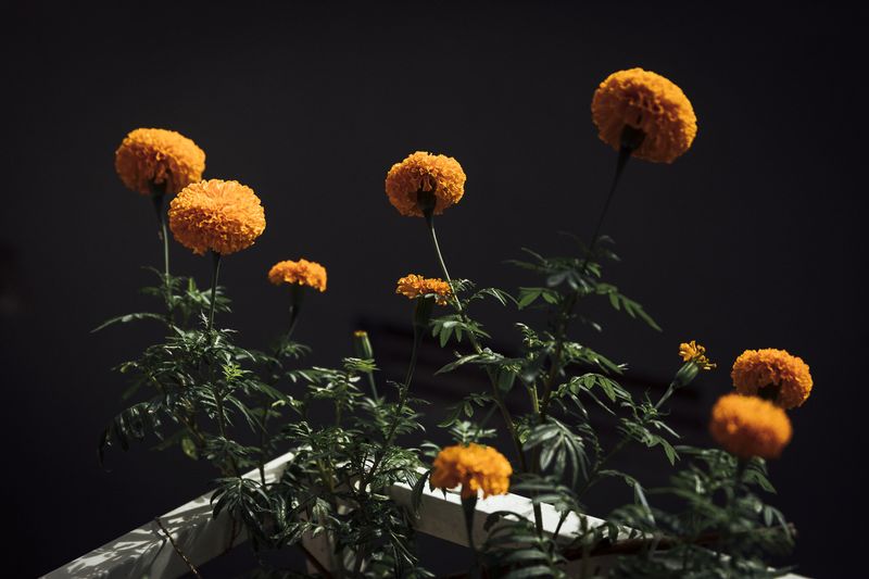 © Nyimas Laula - Image from the INSIDE photography project