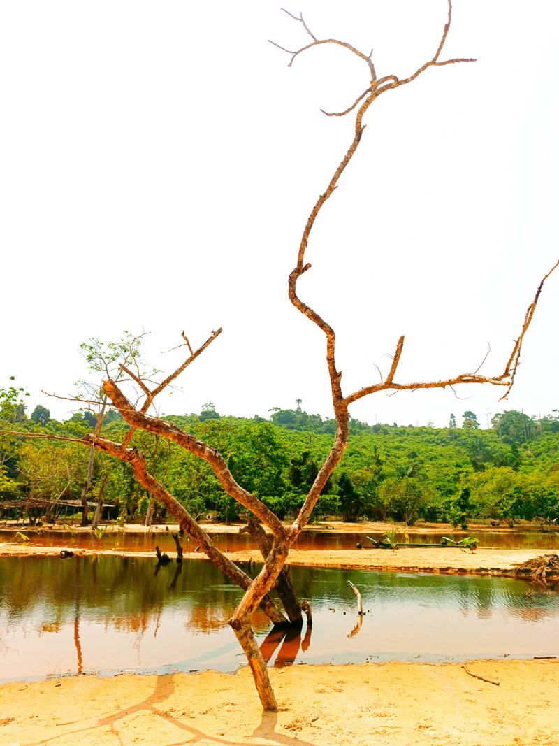 © Mohamed Lamine Sylla - Image from the Exploration photography project
