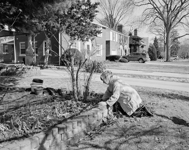 © Dominika Jackuliakova - Image from the A History of Dis(appearing) photography project