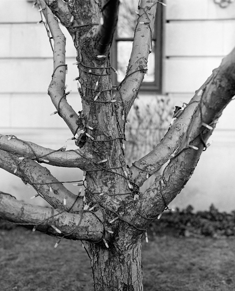 © Dominika Jackuliakova - Image from the A History of Dis(appearing) photography project