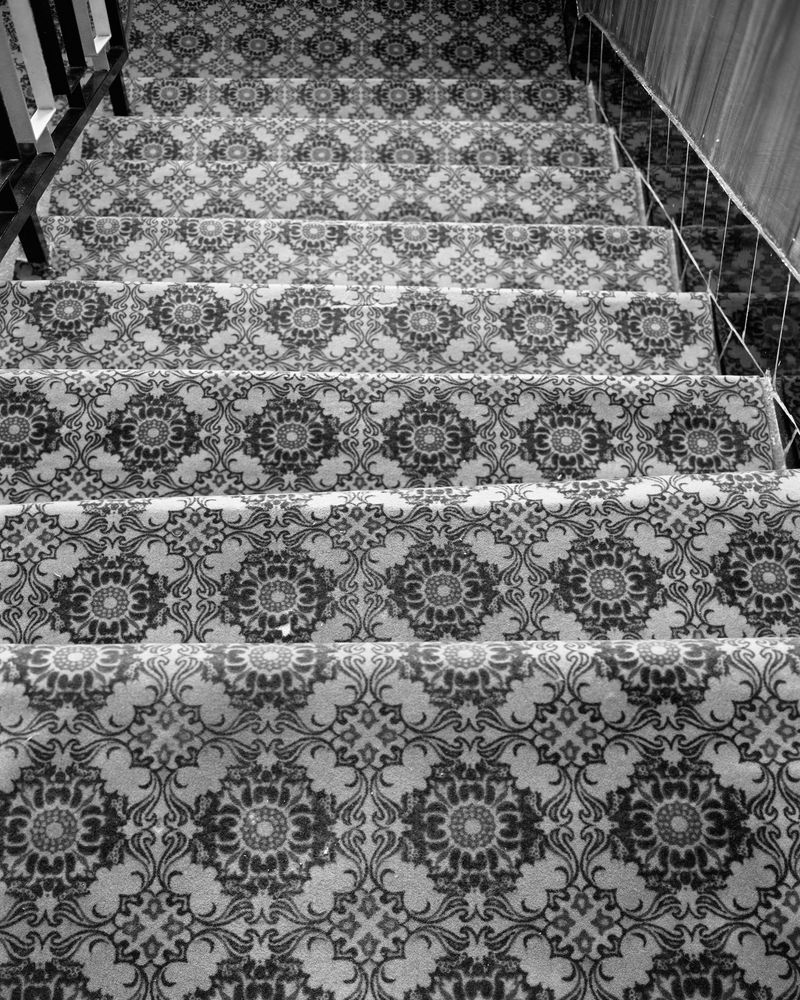 © Dominika Jackuliakova - Tomášovce, 2021