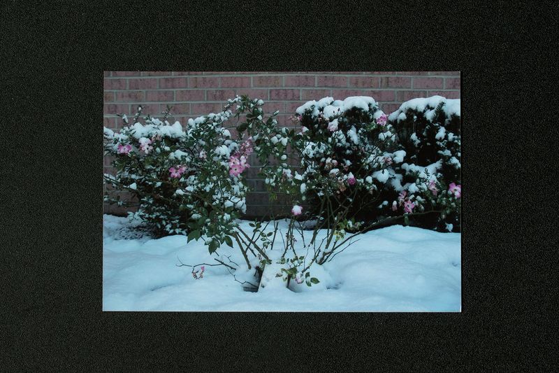 © Elena Pavlova - Image from the Till death do us part photography project