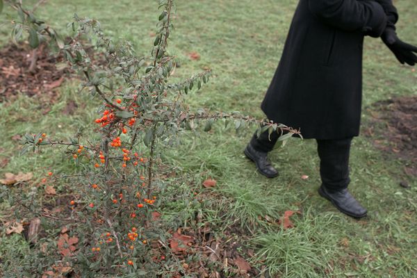 © Elena Pavlova - Image from the Till death do us part photography project