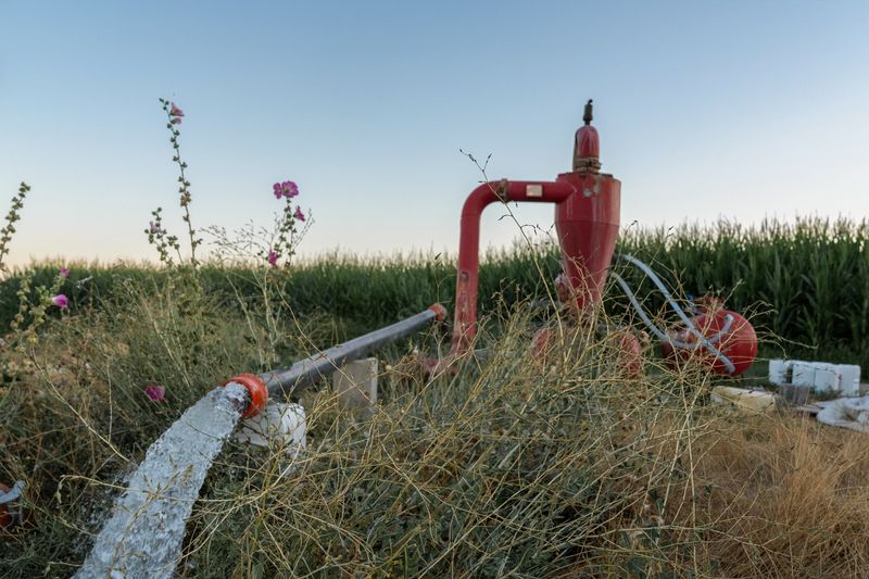 © F.Dilek Yurdakul - Image from the THE LAND REMEMBERS photography project