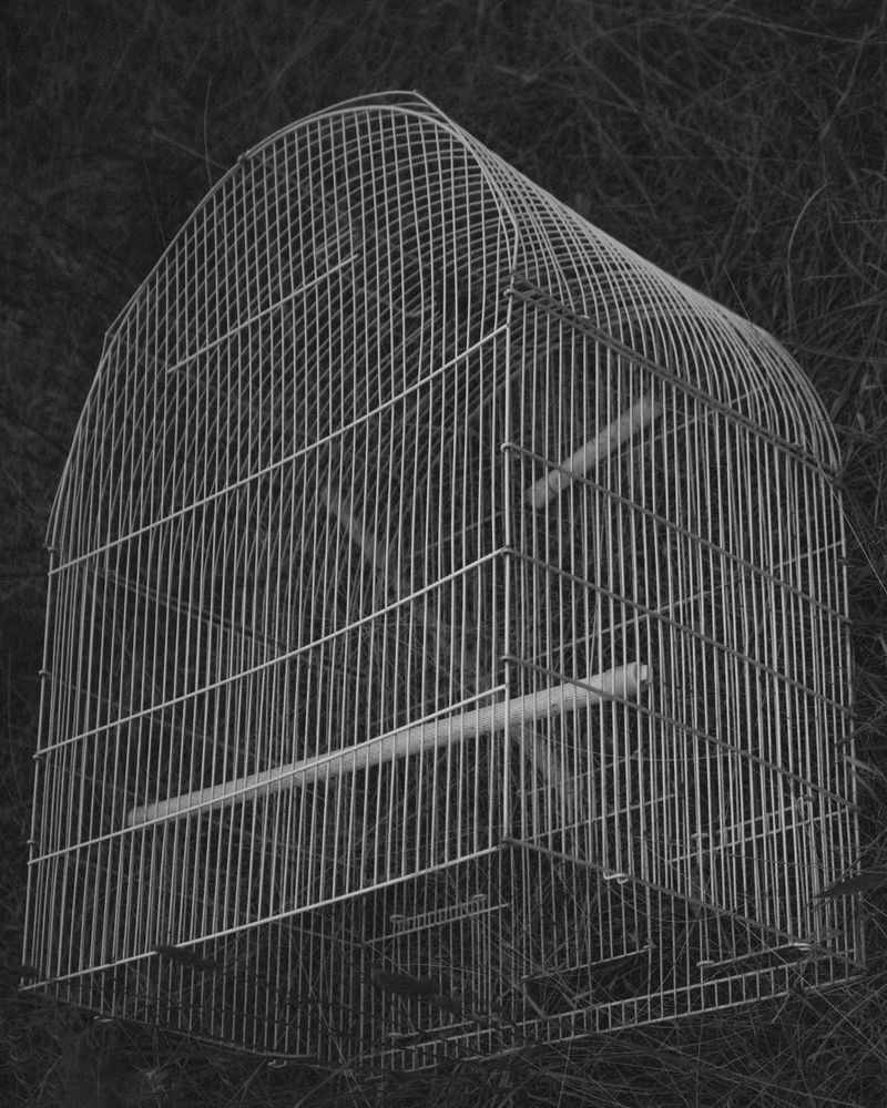 © Angus Scott - Image from the Teetering like a September myth photography project