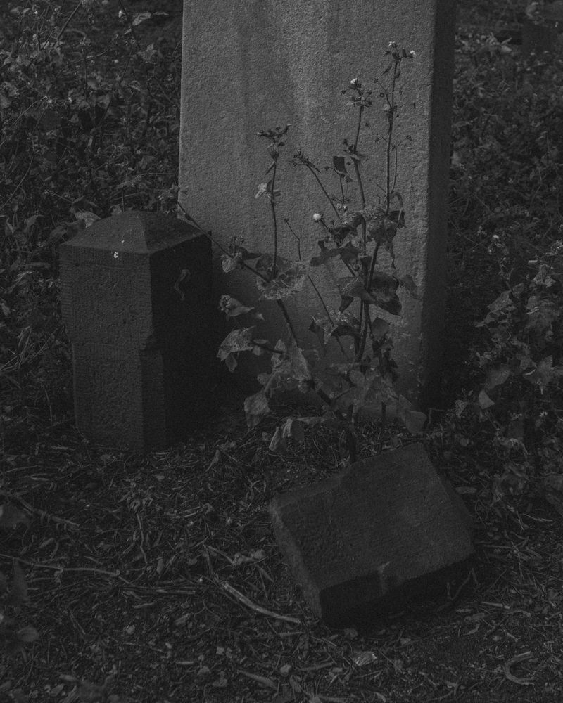 © Angus Scott - Image from the Teetering like a September myth photography project