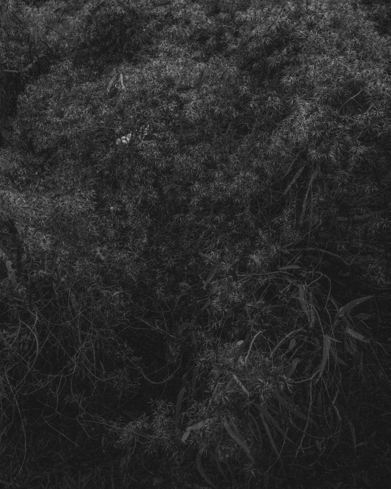 © Angus Scott - Image from the Teetering like a September myth photography project