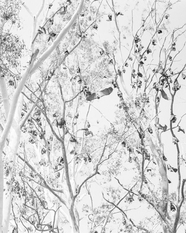 © Angus Scott - Image from the Teetering like a September myth photography project