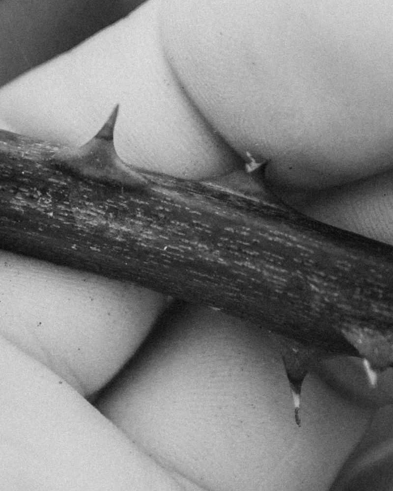 © Angus Scott - Image from the Teetering like a September myth photography project