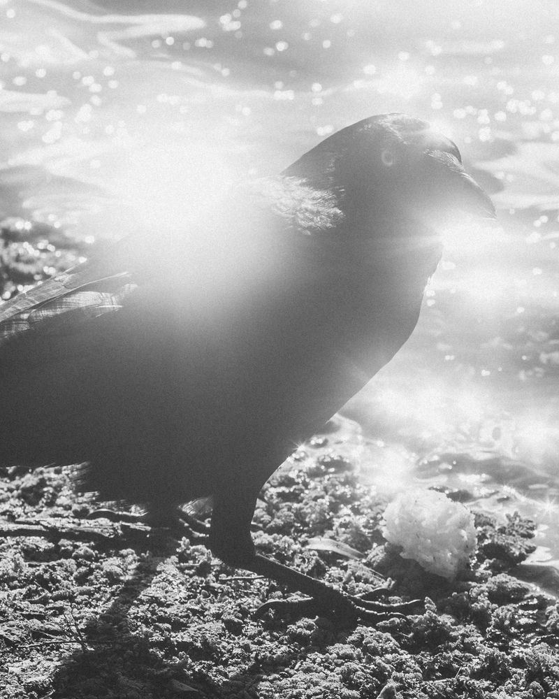 © Angus Scott - Image from the Teetering like a September myth photography project