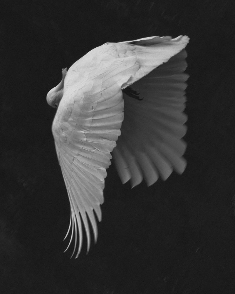 © Angus Scott - Image from the Teetering like a September myth photography project