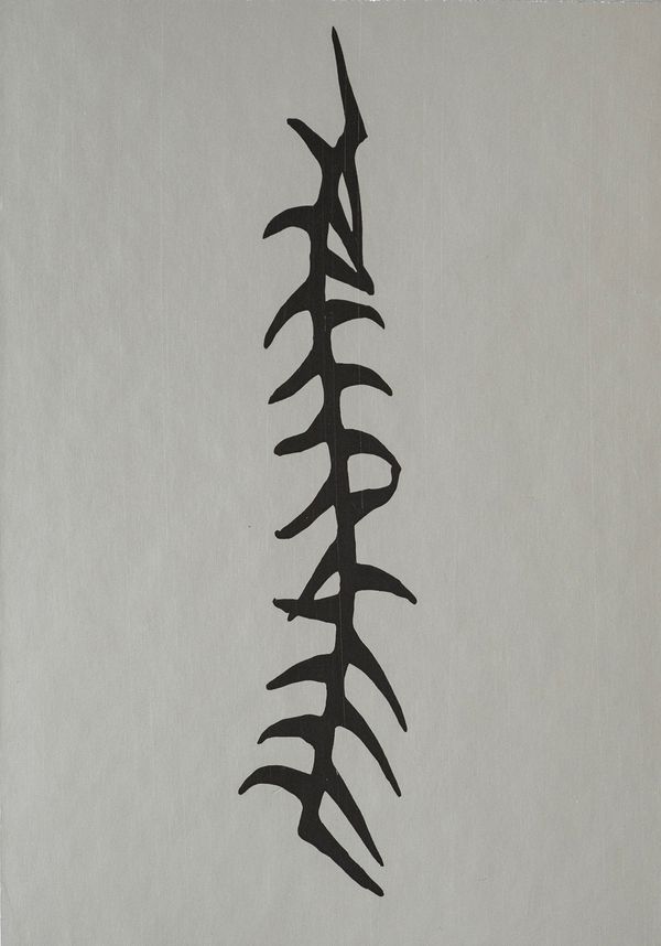 Image from a project on PhMuseum