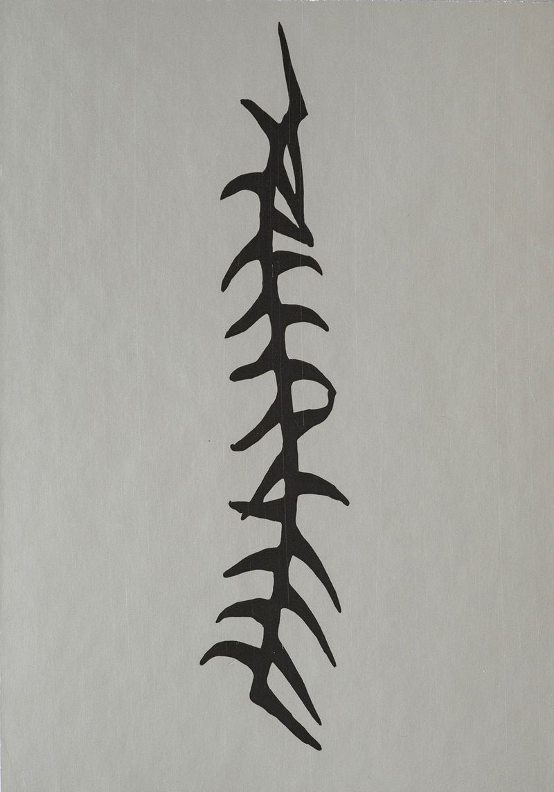 Image from a project on PhMuseum