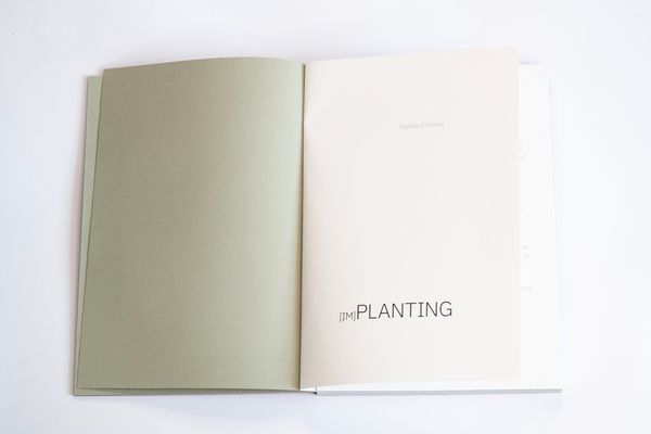 Image from a project on PhMuseum