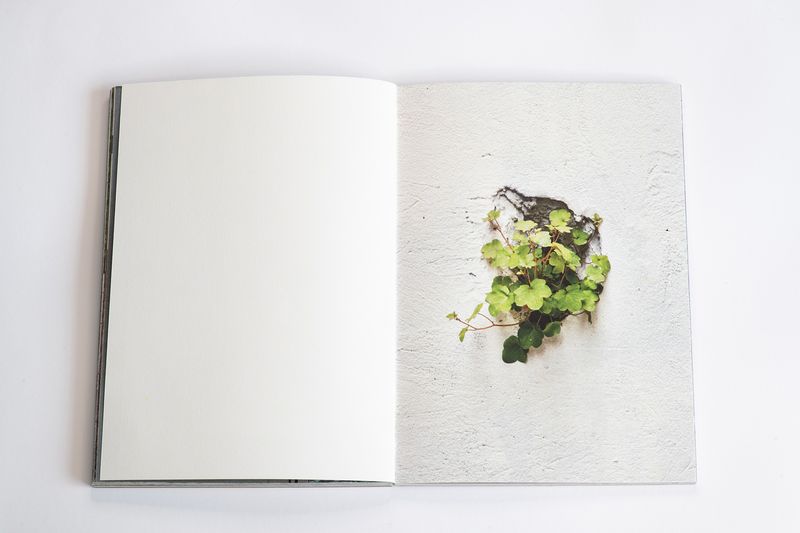 Image from a project on PhMuseum