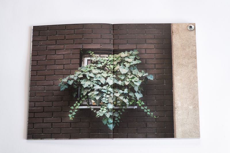 Image from a project on PhMuseum