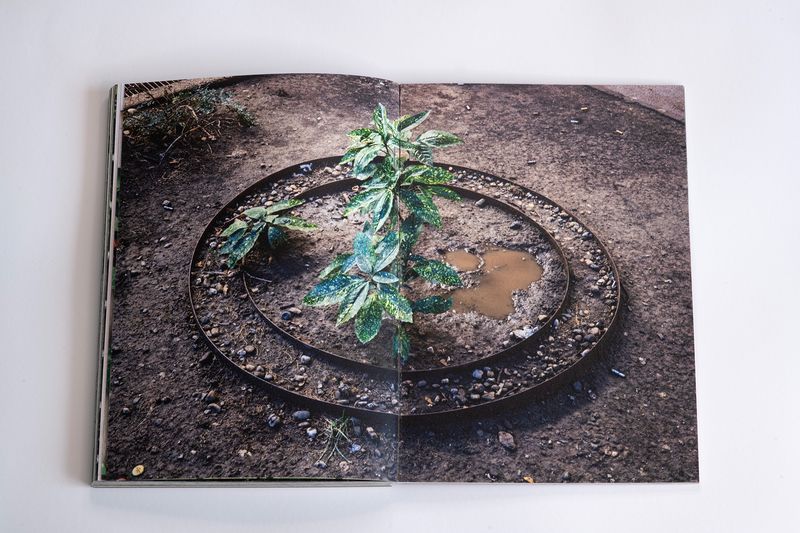 Image from a project on PhMuseum