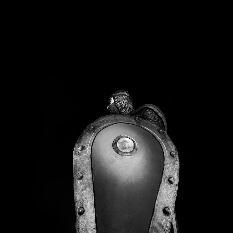 © Natalia Ershova - Image from the The Eternals photography project