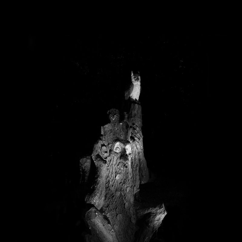 © Natalia Ershova - Image from the The Eternals photography project