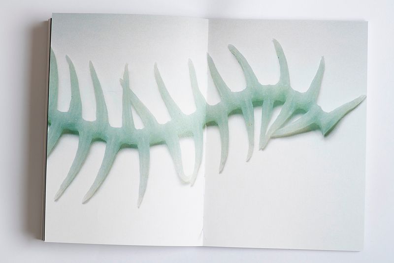 © Natalia Ershova - photo book spread