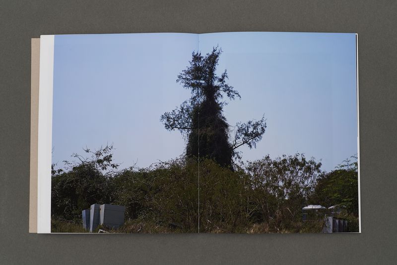 © Jolie Zhilei Zhou - Image from the Purple Thorn photography project