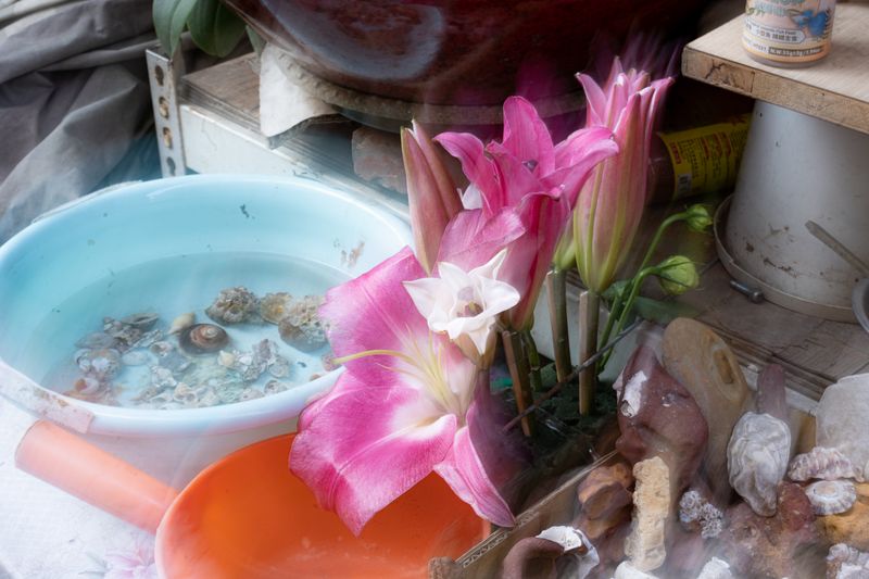 © Jolie Zhilei Zhou - Image from the Purple Thorn photography project