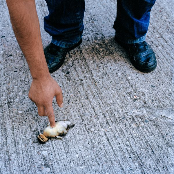 © Lenny Steinhauer - Image from the Castle in the Clouds photography project