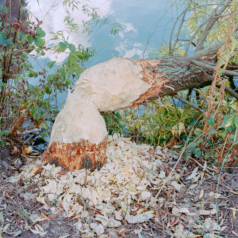 © Lenny Steinhauer - Image from the Castle in the Clouds photography project