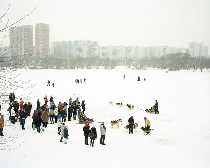 © Petr Antonov - Image from the Trees, cars, figures of people, assorted barriers photography project