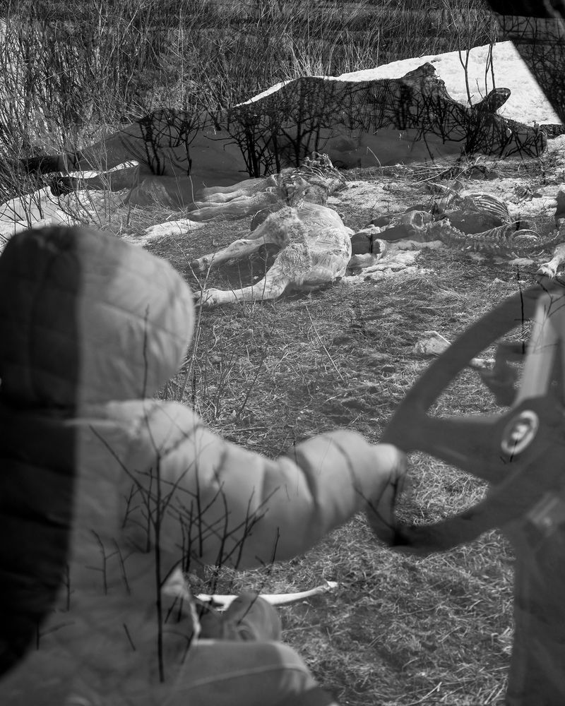 © Matt Calarco - Image from the False Summits photography project