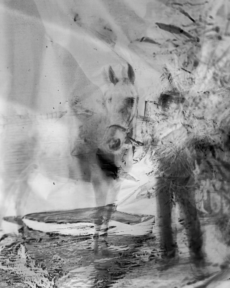 © Matt Calarco - Image from the Taming Again photography project