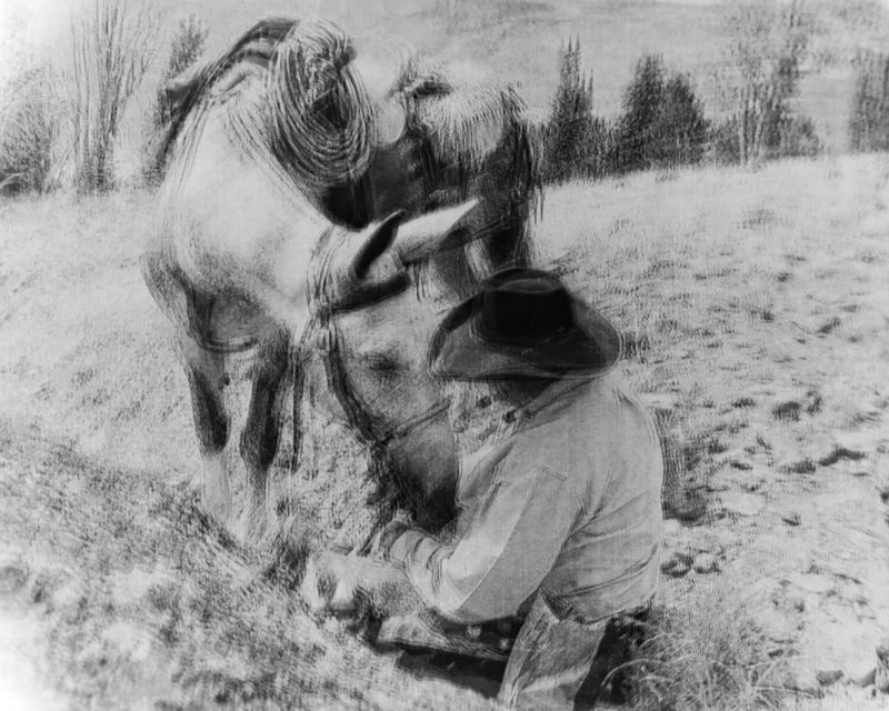 © Matt Calarco - Image from the Taming Again photography project