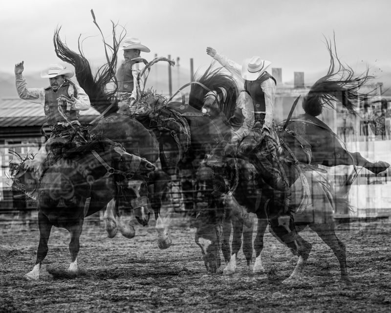 © Matt Calarco - Image from the Taming Again photography project