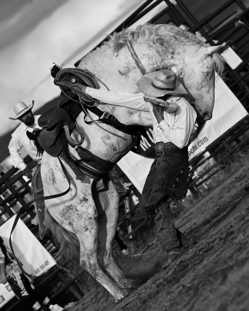 © Matt Calarco - Image from the Taming Again photography project