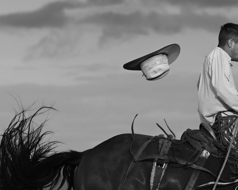 © Matt Calarco - Image from the Taming Again photography project