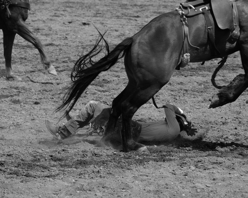 © Matt Calarco - Image from the Taming Again photography project