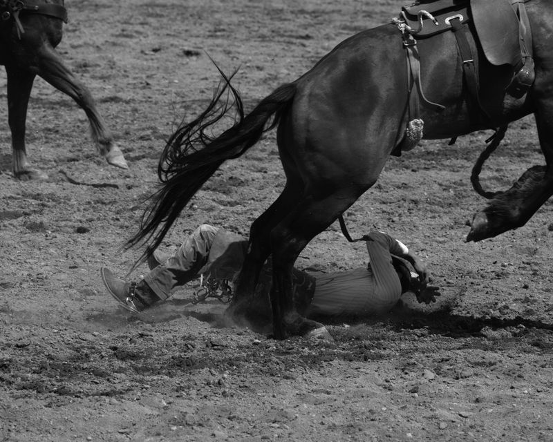 © Matt Calarco - Image from the Taming Again photography project